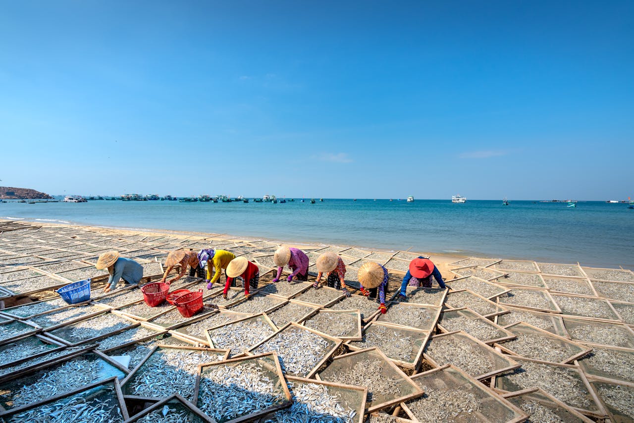 Fishing Boats in Phu Yen - Experience Dak Lak Tours with sustainable adventures